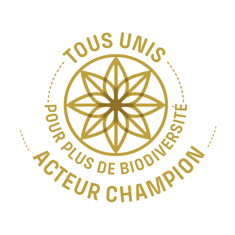 logo_badges_acteur_champion_ft